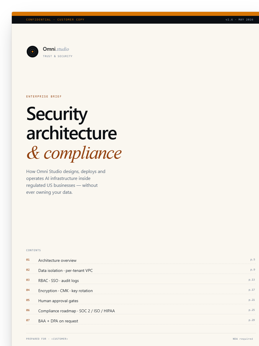 Omni security brief cover